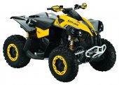 2010 Can-Am Renegade 800 EFI xc photo